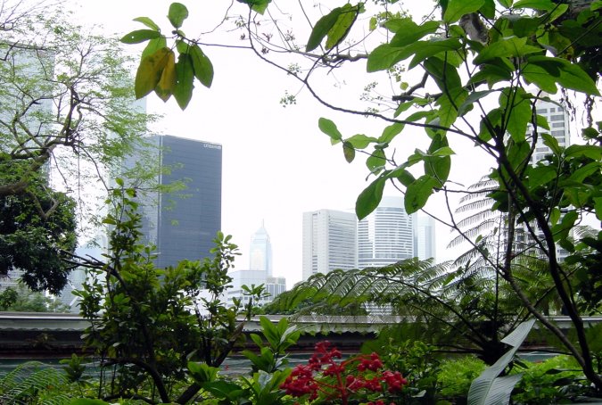 Trees and buildings