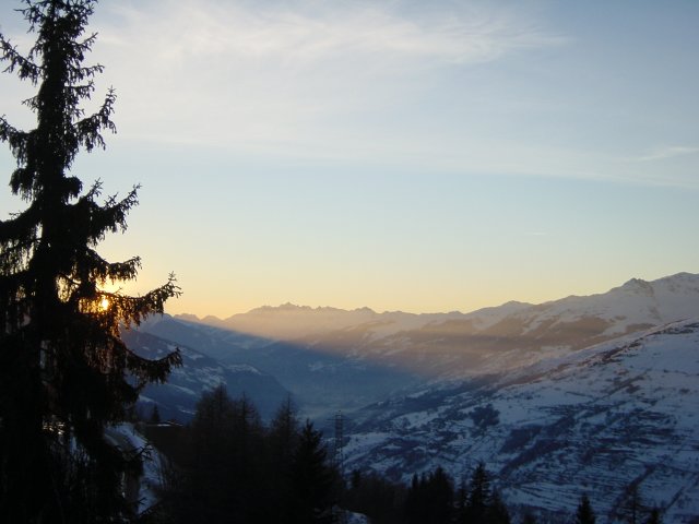 Rayons du soleil couchant filtrant a travers un sapin
