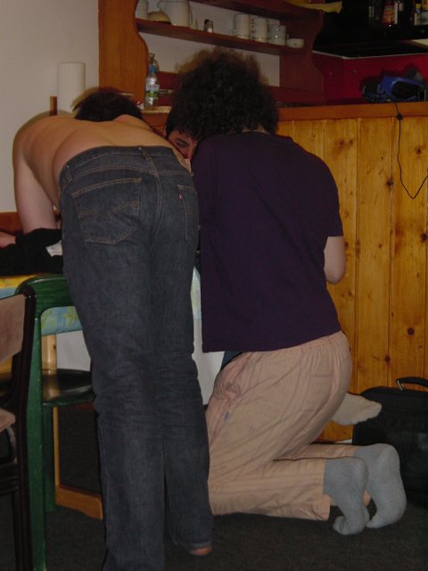Canard et Nico de dos