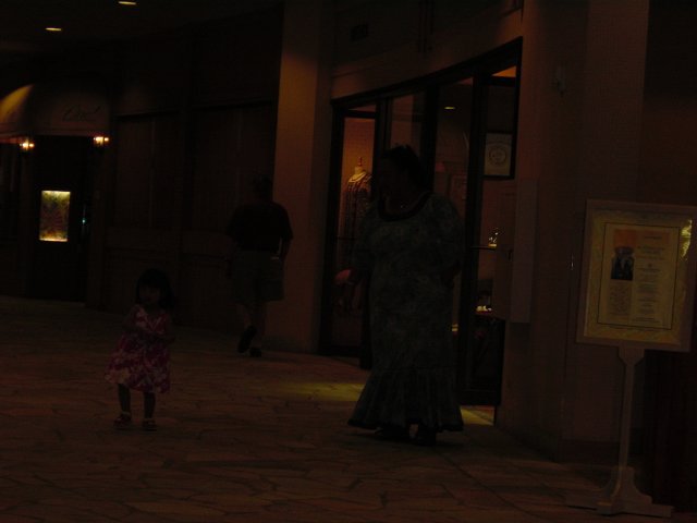 Small girl and lady dressed in Hawaiian gowns