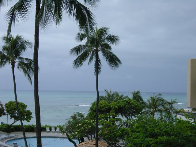 Swimming pool, palm trees, ocean