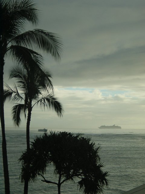 Grey weather, palm trees in the foreground, grey ocean, two ships and grey sky