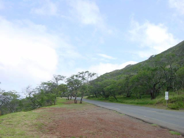 The road leading to Diamond Head crater