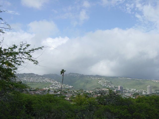 View on houses covered hills, blue sky, single palm tree