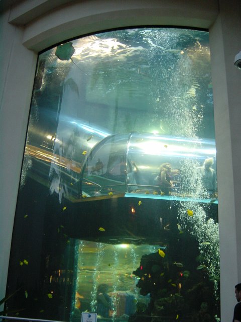 Aquarium by a mall