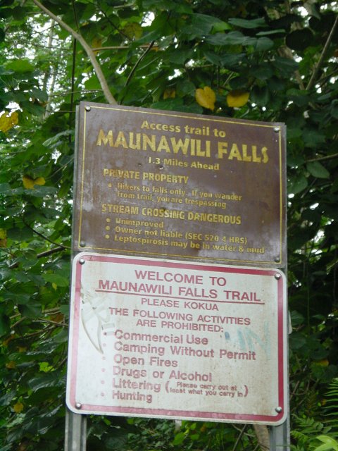 Maunawili Falls trail starts here