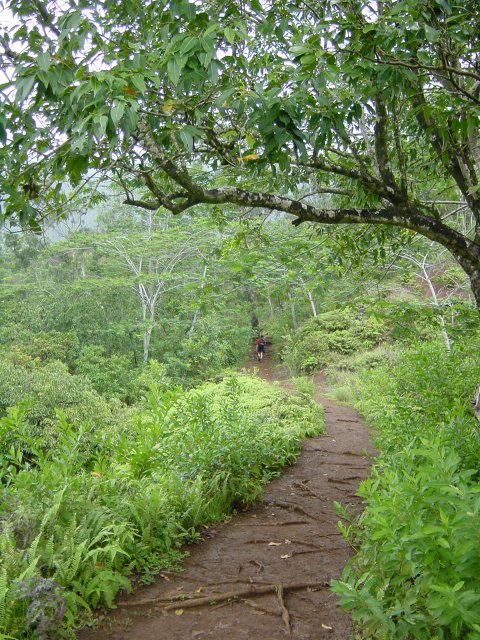 The trail to the falls