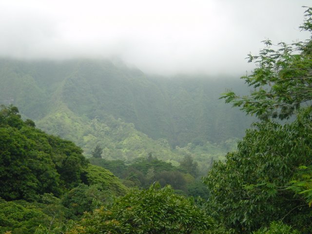 Clouds, mountains, sunny patch, trees