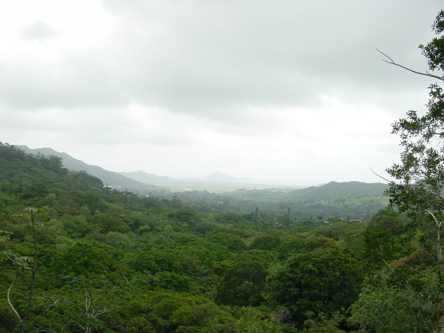 View on the coast 