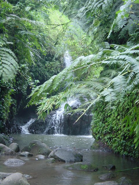 Maunawili Falls