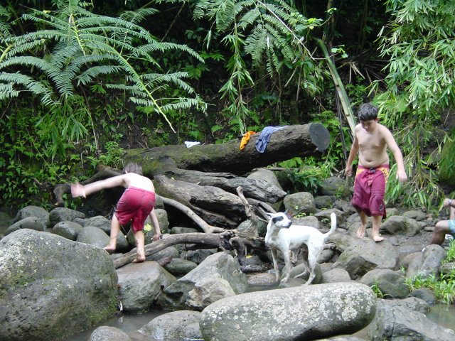 Small boys and their dog boulder hopping