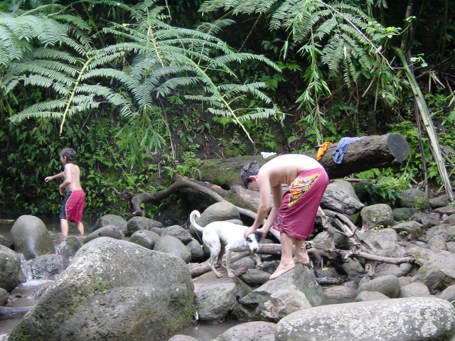 Small boys and their dog boulder hopping