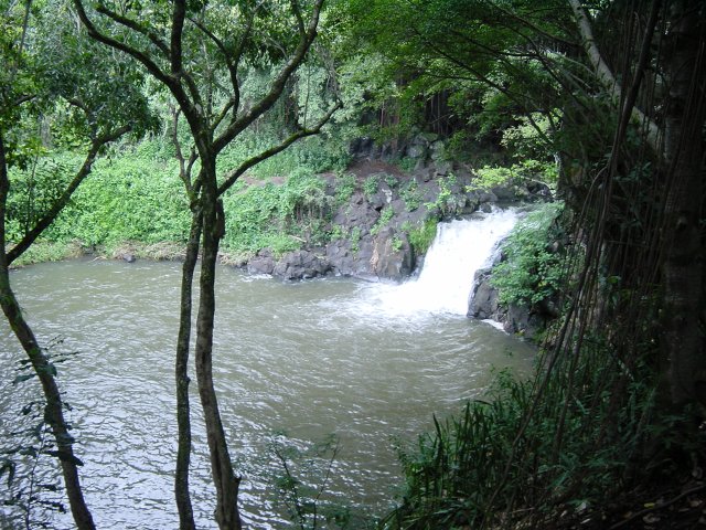 Falls