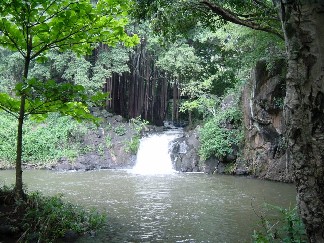 Falls