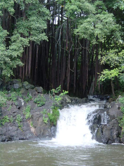 Falls