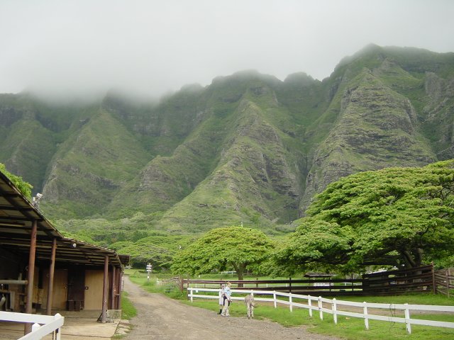 At Koaloa ranch: Alan, Henri, a donkey