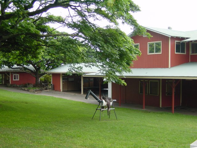 Red wooden barns, a wooden horse