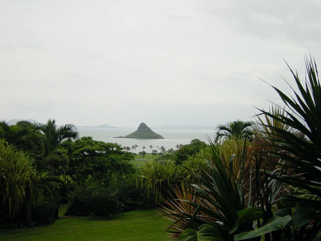 View from Kualoa ranch