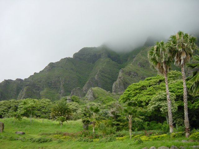 The mountain, clouds and trees below
