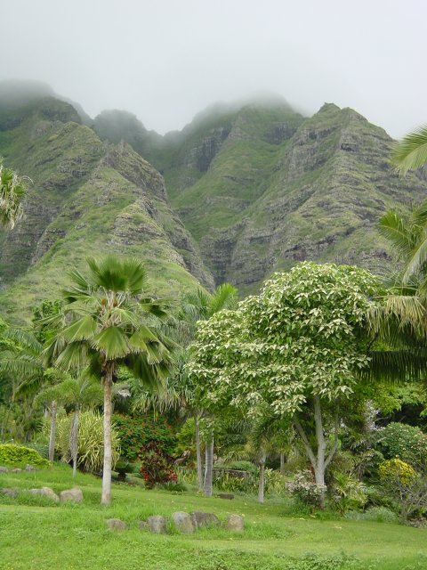 The mountain, clouds and trees below