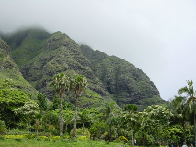 The mountain, clouds and trees below