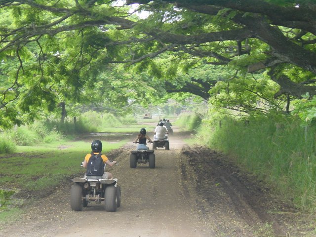 ATV's