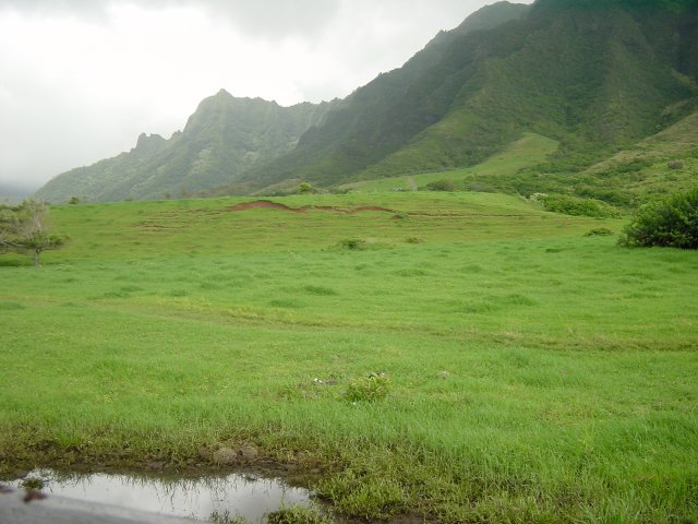 Filming location of Jurassic Park and Godzilla (among others)