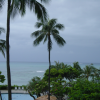 Swimming pool, palm trees, ocean