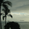 Grey weather, palm trees in the foreground, grey ocean, two ships and grey sky