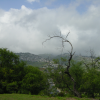 View from the foot of Diamond Head