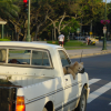 Truck with american flag sticked on the window, fluffy puppy sticking out the window