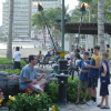 Parrots and a group of kids
