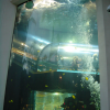 Aquarium by a mall