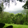 Clearing in the forest