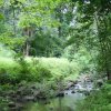 Stream