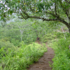 The trail to the falls
