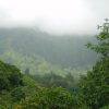 Clouds, mountains, sunny patch, trees