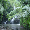 Maunawili Falls