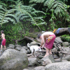 Small boys and their dog boulder hopping