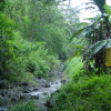 Stream