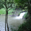 Falls