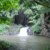Falls