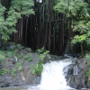 Falls