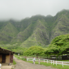 At Koaloa ranch: Alan, Henri, a donkey