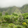 The mountain, clouds and trees below