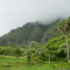 The mountain, clouds and trees below