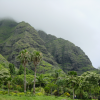The mountain, clouds and trees below