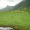 Filming location of Jurassic Park and Godzilla (among others)
