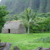 Straw house built for filming purpose