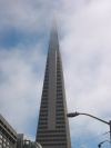Transamerica Pyramid with top in the fog